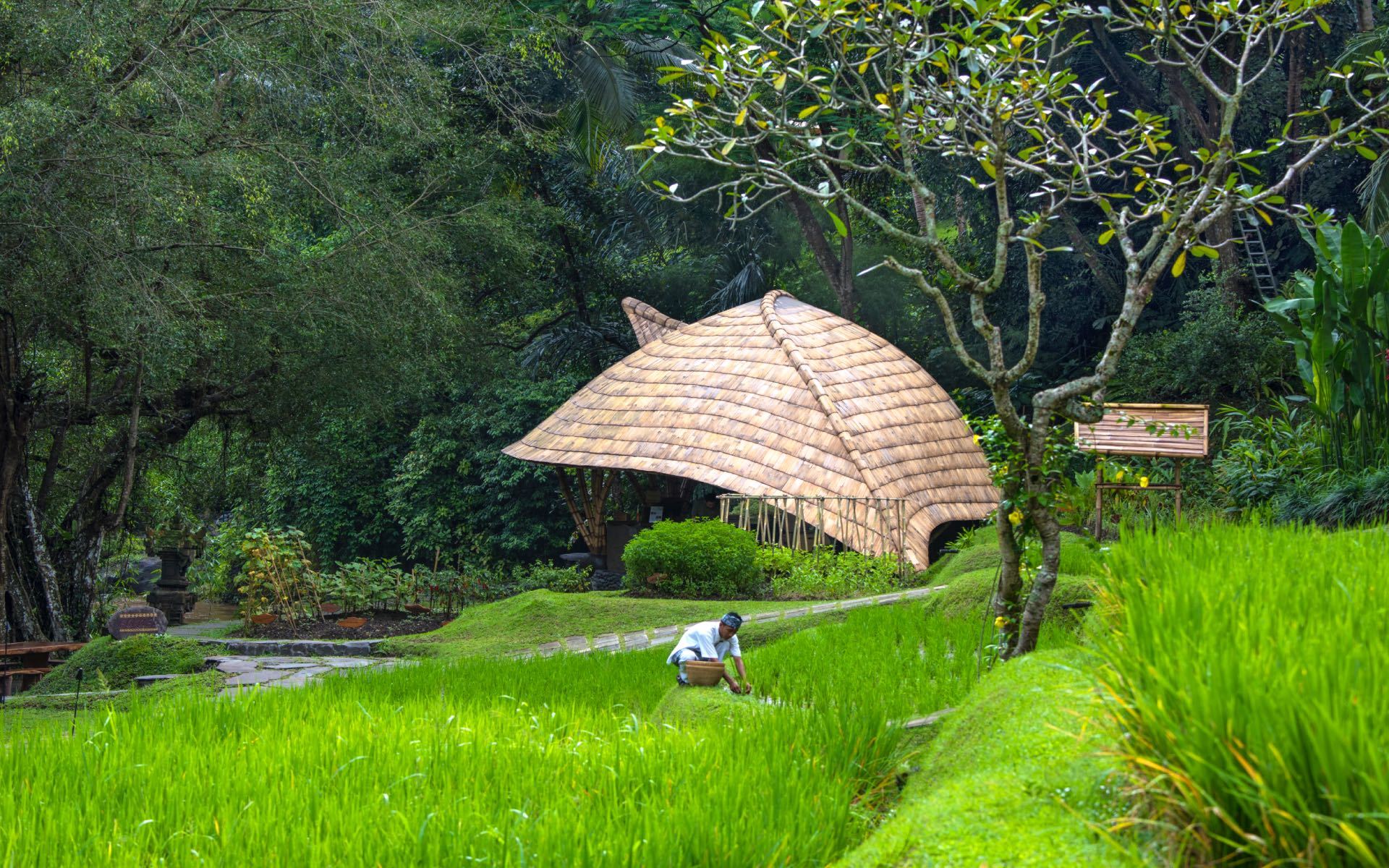 Ubud, Bali