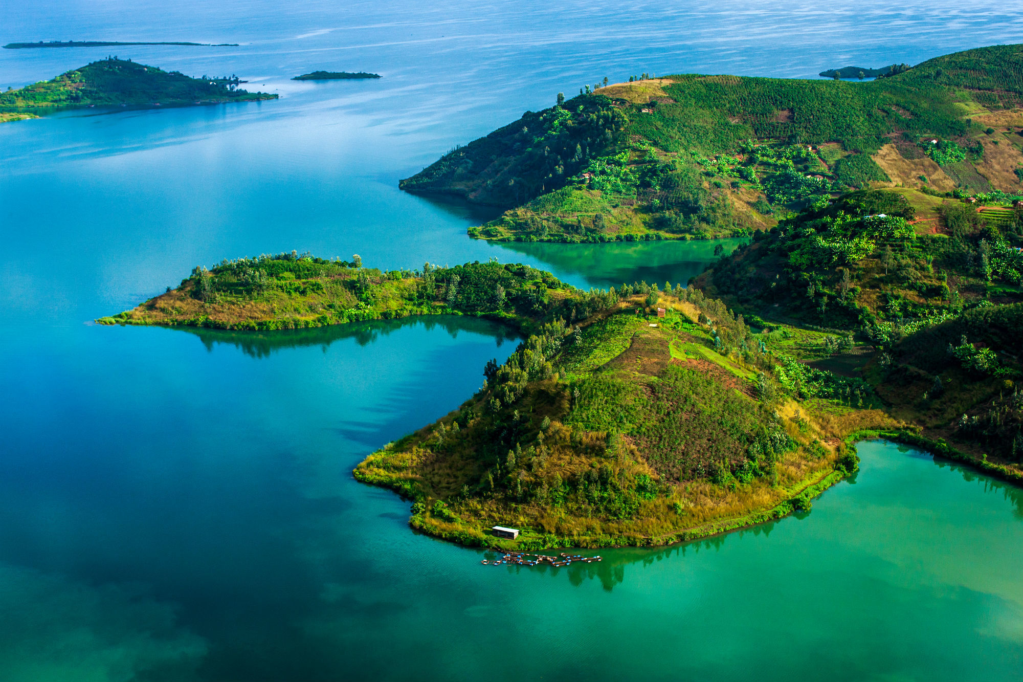 jazero Kivu
