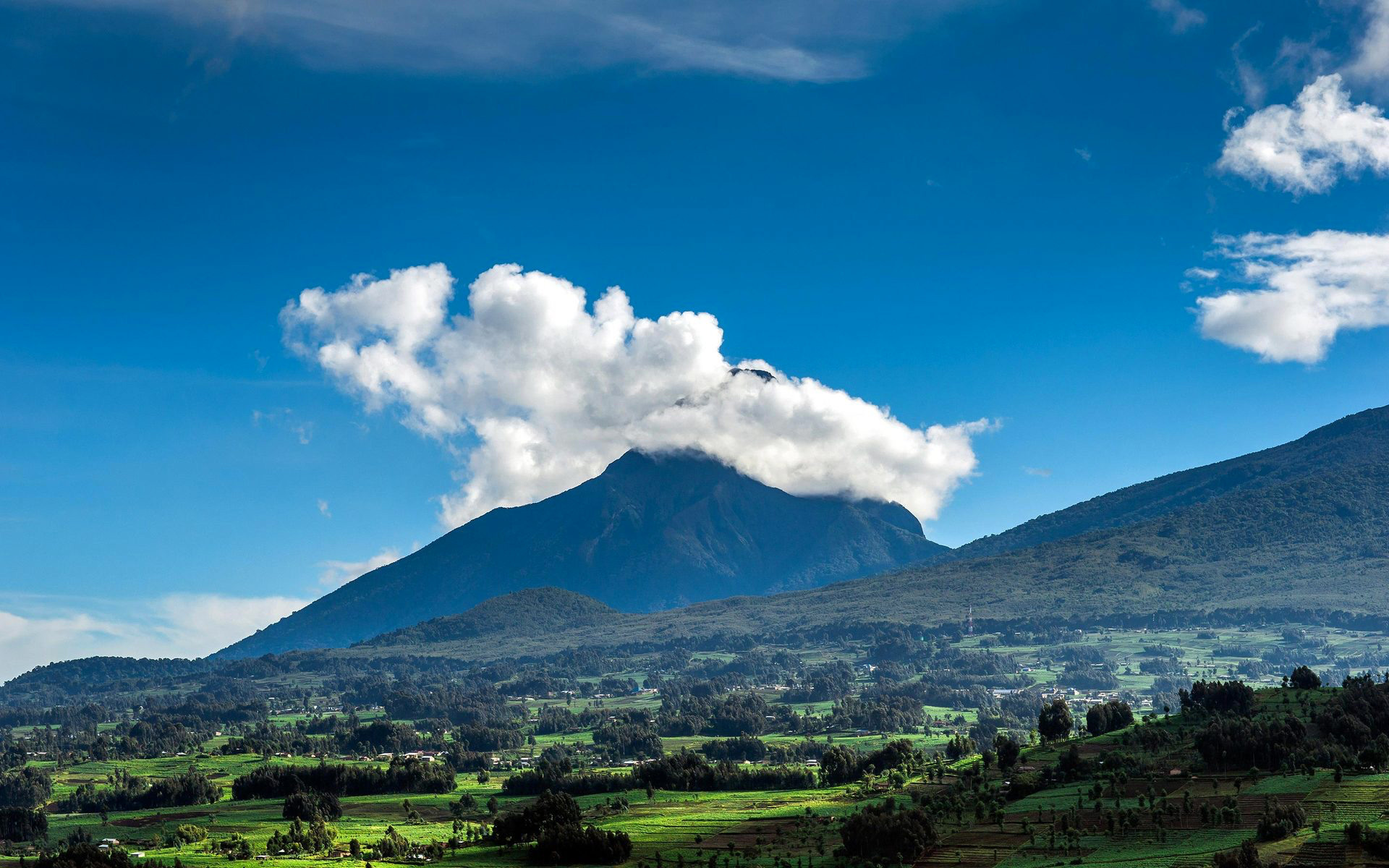 Národný Park Volcanoes - pohorie Virunga