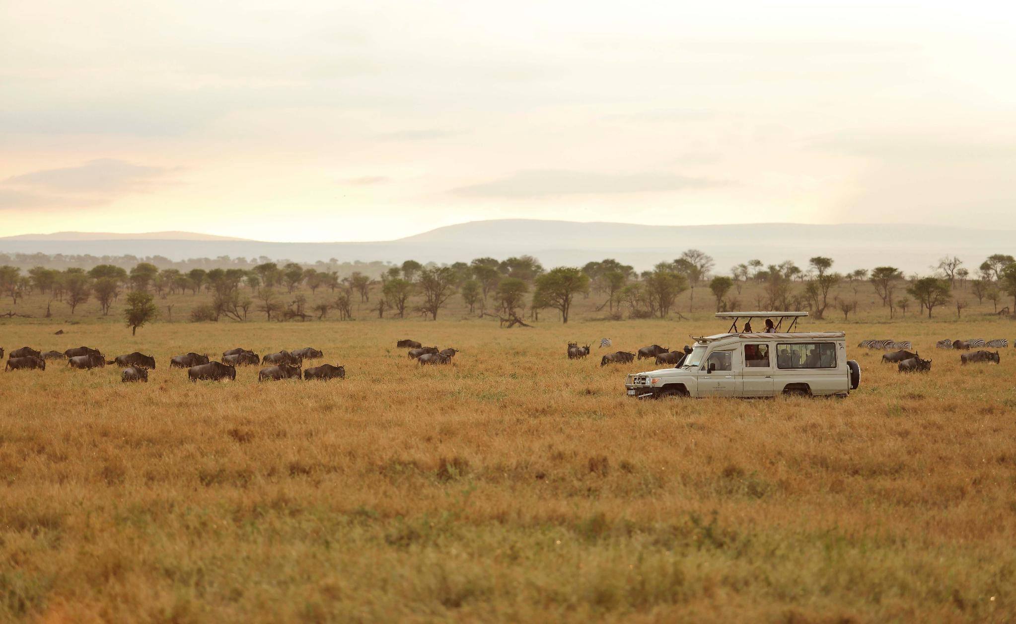 Národný Park Serengeti