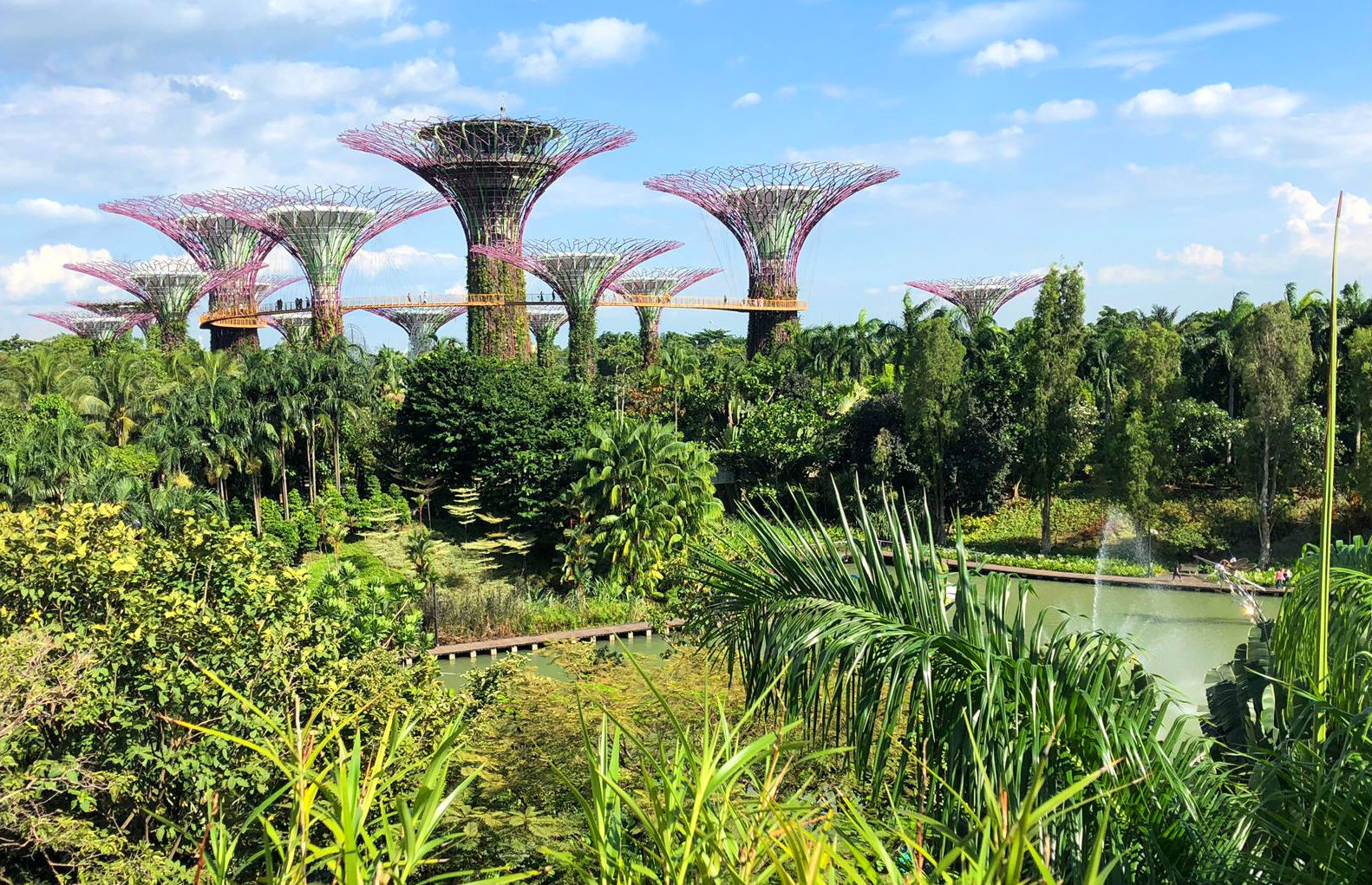 Gardens by the Bay