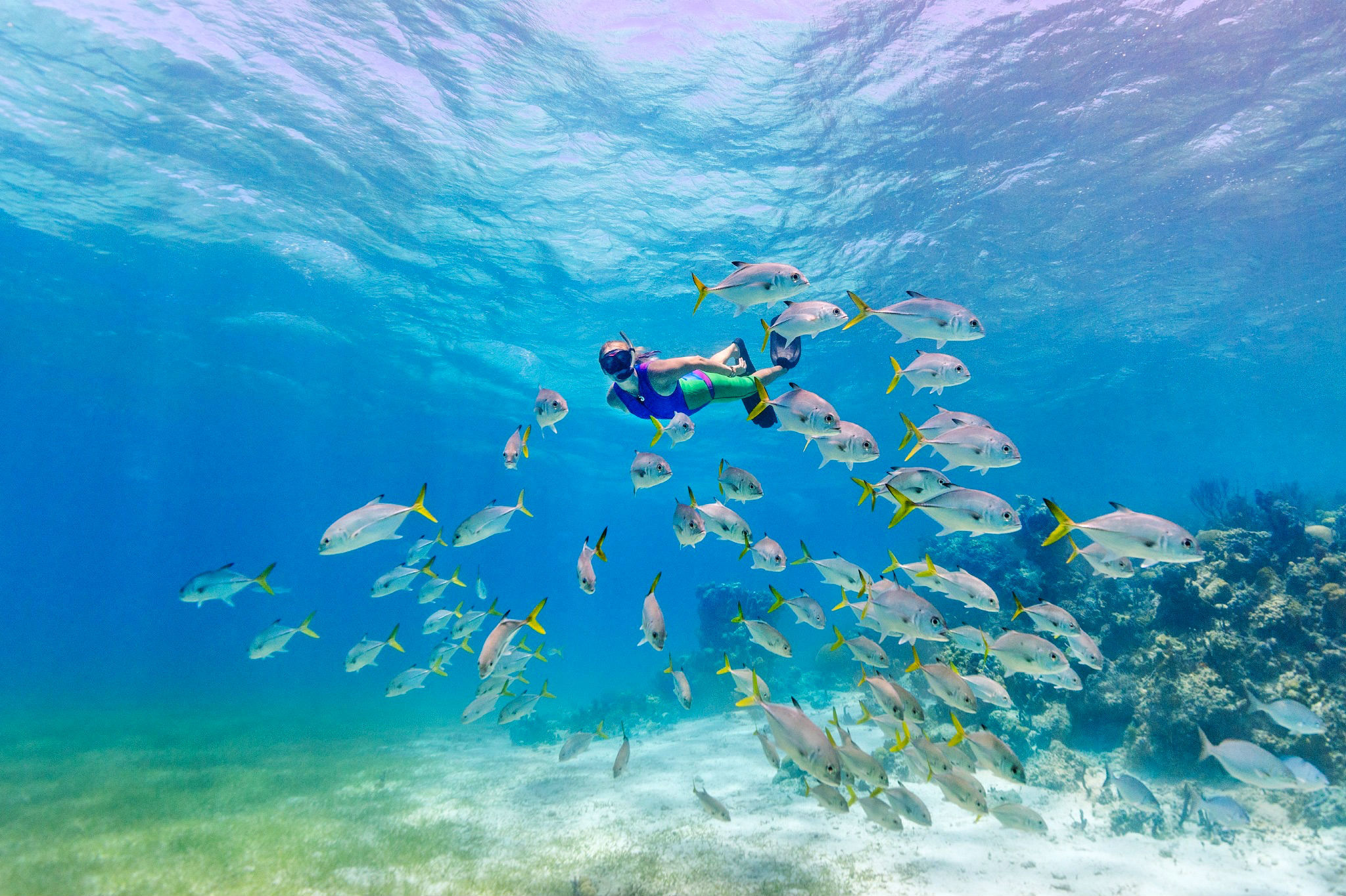 Smith's Reef, Providenciales