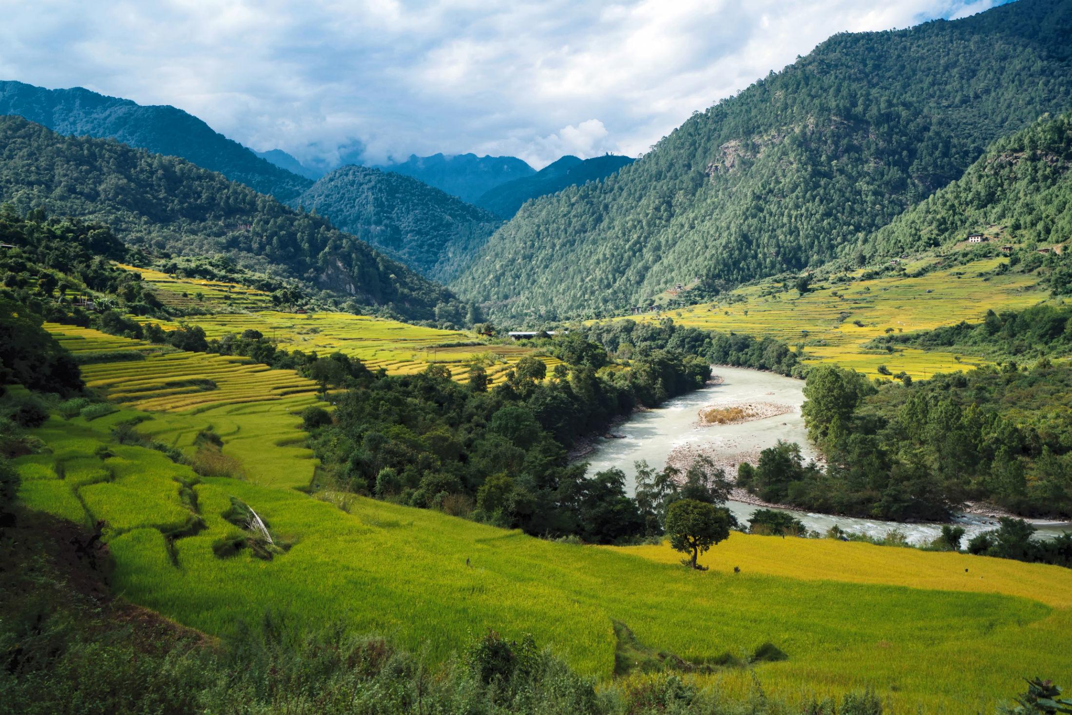 Punakha