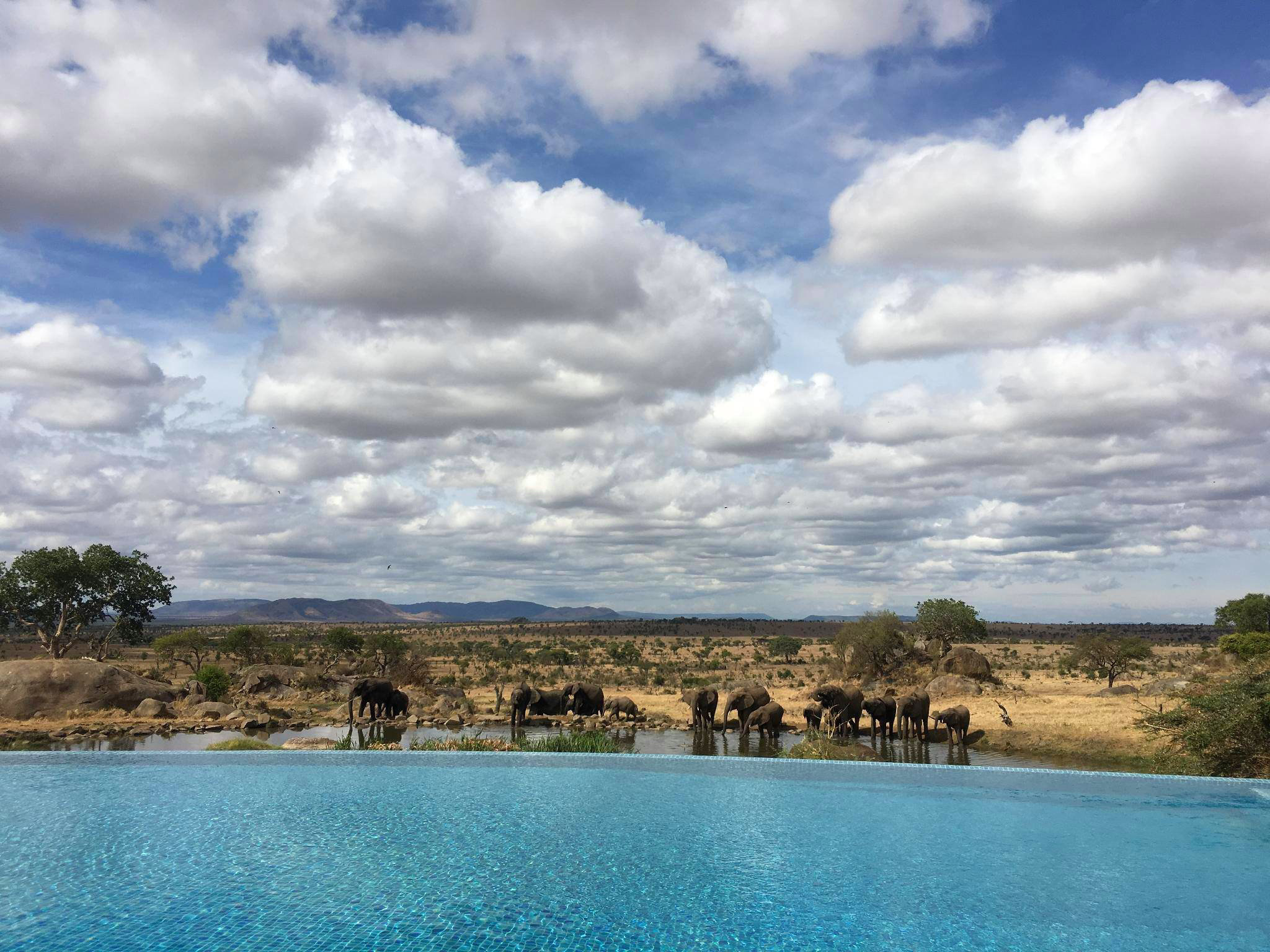 Národný Park Serengeti