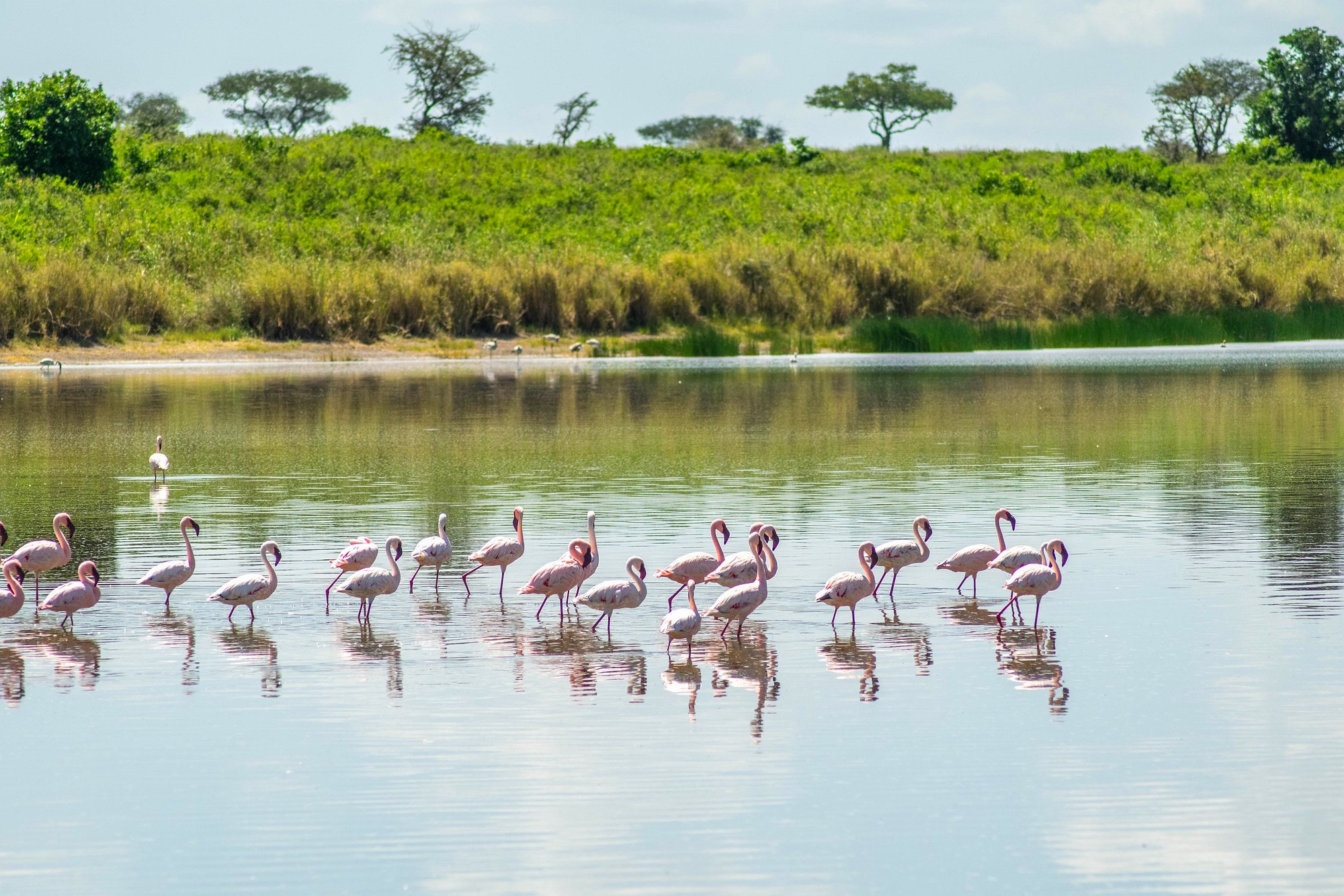 Národný Park Serengeti